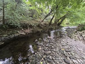 Photo 3- click for photo gallery